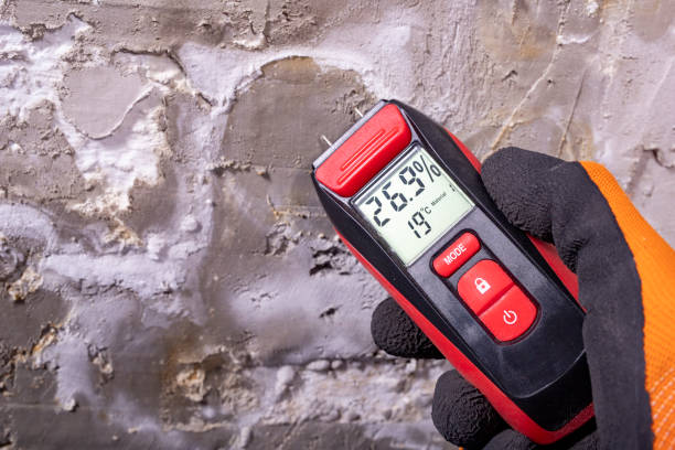 Professional Mold Remediation in Louisville, IL